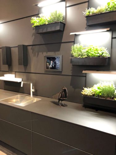 Die Münchner Firma Agrilution GmbH bringt mit ihrem Model Plantcube perfektionierte Farming Technologie in die Küche. Foto: Küchen Journal