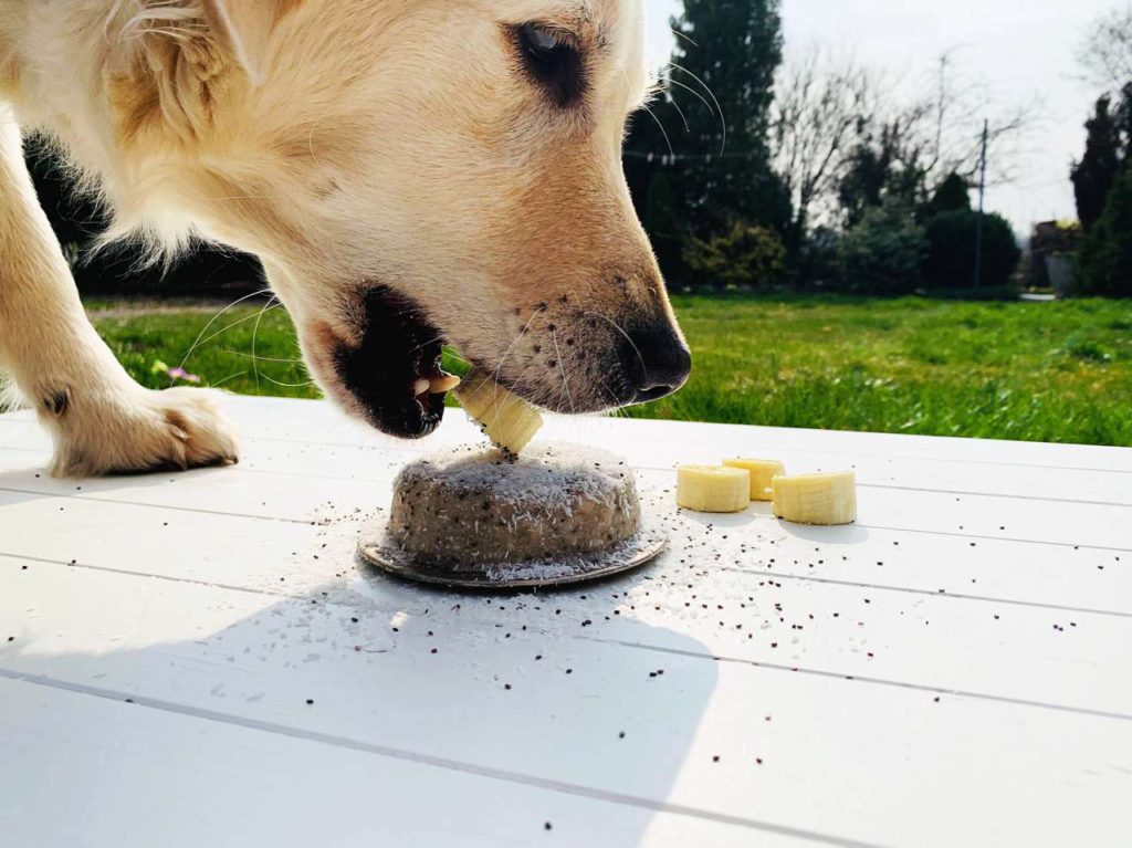 Bestreut mit Koskosflocken ist das Hundeeis „Yellow Mellowness“ fertig zum Genuss. Foto: De'Longhi