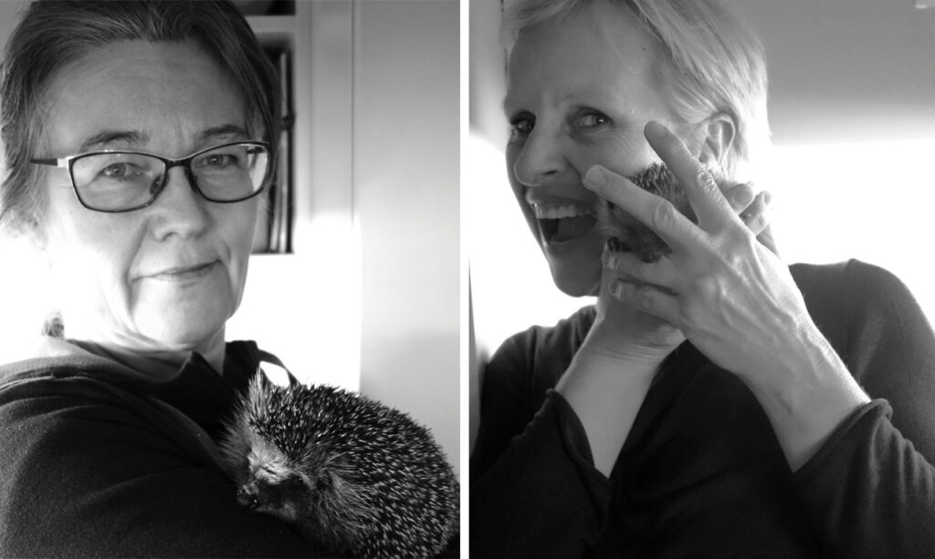 Die Gründerin der Radebeul Igelhilfe, Cornelia Schicke (links), mit einem ihrer Schützlinge. Sie sagt, dass sie mit dem Igelvirus infiziert ist, der sie nicht mehr loslässt. Katrin Westerhausen (rechts) hilft ehrenamtlich im Verein und kümmert sich besonders gern um Bauprojekte. Hier wird sie von einem Babyigel in den Finger gezwickt. Fotos: Küchen Journal