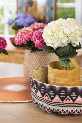 Zimmerhortensien sind das perfekte Geschenk. Foto: Hydrangeaworld