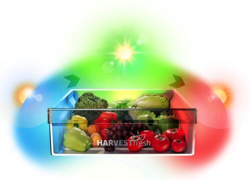 Die neuartige Technologie HarvestFresh von Beko imitiert den natürlichen Lichtzyklus des Tages mithilfe einer dreifarbigen Beleuchtung sowie einer dunklen Nachtphase. Die Vitamine A und C bleiben so länger erhalten.  Foto: Beko