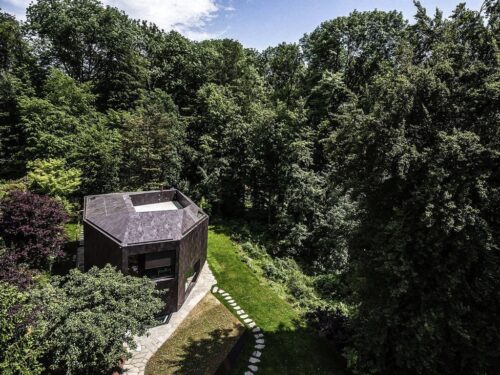 An einem bewaldeten Hang bei Basel liegt die «Casa Forest», gestaltet von DALUZ GONZALEZ ARCHITEKTEN. Foto: Foto: Philippe Wiget für DALUZ GONZALEZ ARCHITEKTEN