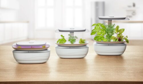 Das neue Indoor Gardening System SmartGrow Life von Bosch verlagert den Kräutergarten in die eigenen vier Wände.