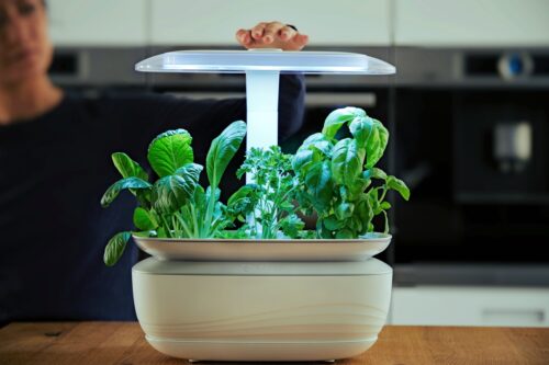 Mit dem „Smart Grow Life" von Bosch lassen sich Kräuter zu jeder Jahreszeit ziehen. Das liegt auch am integrierten, dimmbaren Licht. Außerdem sorgt das Bewässerungssystem für müheloses Wachsen. Das Gerät ist sehr nachhaltig, der Kunststoff besteht zum Beispiel aus 100 Prozent recyceltem Material.