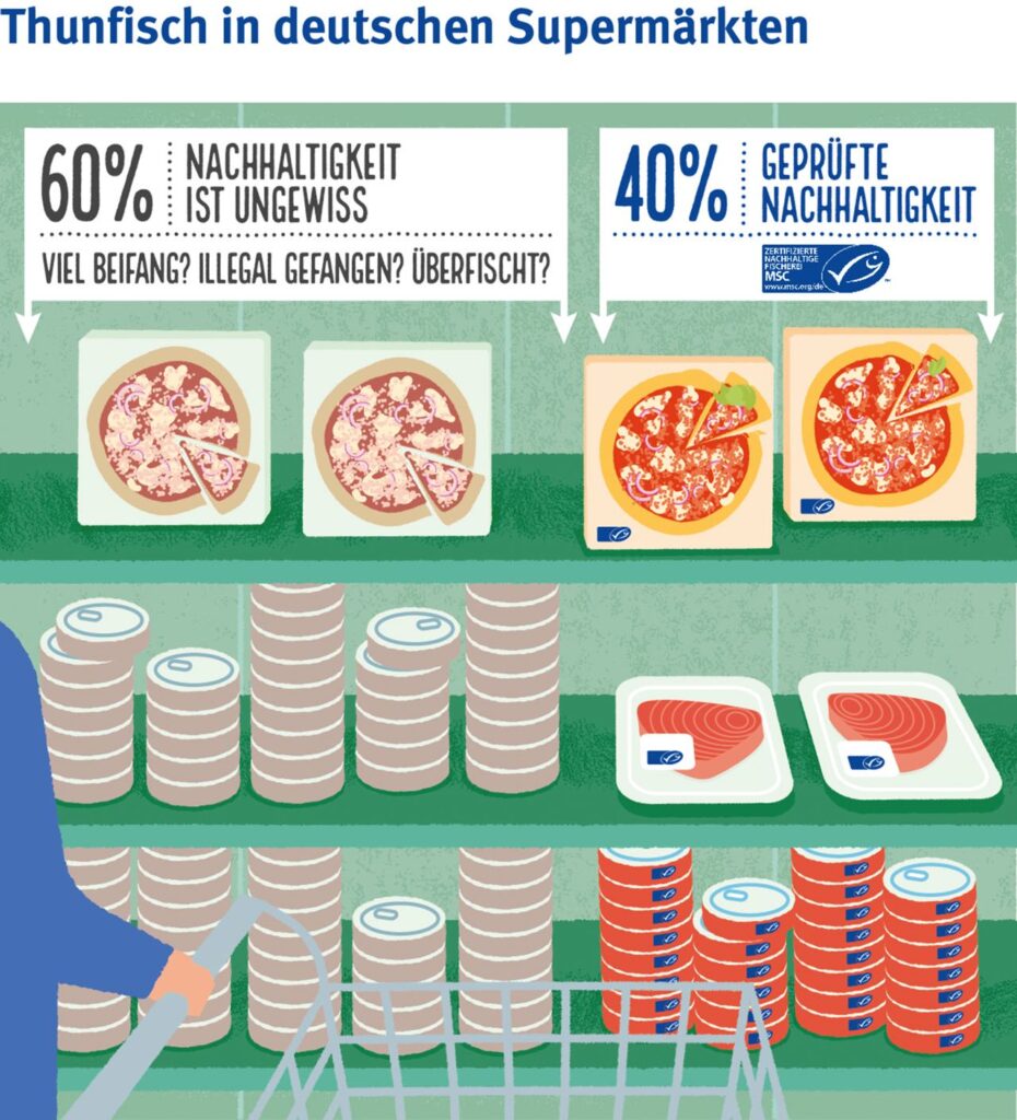 Das Angebot an Thunfisch in deutschen Supermärkten stammt zu 40 Prozent aus nachhaltiger Fischerei. Das MSC-Siegel kontrolliert den Fischfang und die Lieferketten.