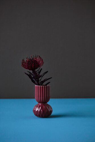 Von Hand produziert ist die stylishe Vase von Dottir. Ton in Ton mit den passenden Blumen sieht sie noch edler aus.