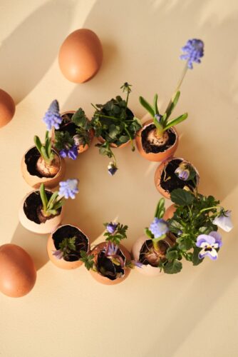 Auf dem Esstisch oder der Kücheninsel findet der frühlingshafte Eierkranz bestimmt einen Platz. Er lässt sich leicht herstellen. Kochen Sie die Eier und verzehren Sie sie mit dem Löffel, natürlich nicht alle auf einmal. Achten Sie darauf, nur im oberen Teil die Schale zu entfernen, damit möglichst viel hineinpasst. Die Eier vorsichtig säubern, dann mit einer Heißklebepistole zu einem Kranz zusammensetzen. Wenn alles getrocknet ist, können Sie kleine Pflänzchen hineinsetzen und mit ein wenig Erde fixieren.  