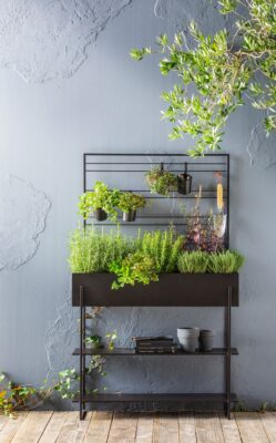 Das Hochbeet „Provence“ aus pulverbeschichtetem Metall von Dehner ist vielseitig. Es hat eine angenehme Arbeitshöhe. Die zwei Etagen im unteren Bereich dienen als Ablagefläche, außerdem lassen sich ganz dekorativ Töpfe an der Rückwand aufhängen, ca. 130 Euro.