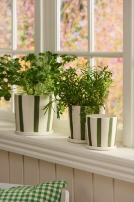 Grün steht einfach für diese Jahreszeit. Noch sprießen nicht alle Blümchen, aber im Topf macht sich auch Grünzeug super und versprüht Lebendigkeit. Eine Idee ist es, frische Kräuter auf die Fensterbank zu stellen. Wenn es dann wärmer wird, können die Töpfe nach draußen. Streifentöpfe aus Keramik von Ib Laursen.