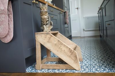 Wer möchte denn da etwas erreichen? Ideal ist der Tritt für Kinder, die an der Arbeitsfläche tätig sind oder an den Kühlschrank möchten. Aber sichern Sie ihn unbedingt mit rutschfesten Noppen, damit er nicht hin- und herrutscht. Alles Morgan Wright.