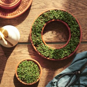 Die Keimschale „Daksjus“ von Ikea ist 2teilig. Gefertigt wird sie aus Terrakotta. Das Material ist ideal zum Keimen von Setzlingen, denn es absorbiert und speichert Wasser, sodass die Setzlinge die Feuchtigkeit gut aufnehmen können und mit der genau richtigen Menge an Wasser versorgt werden.