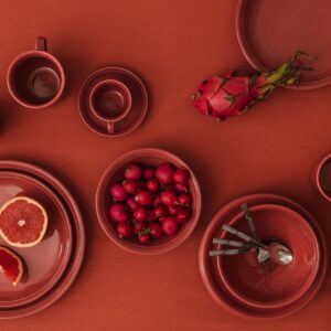 Ton in Ton serviert: Das Geschirr „Trend Colour“ von Thomas in der Farbe „Puglia“ bringt ausdrucksstarkes Terrakotta auf den Tisch und sieht trotzdem edel aus.