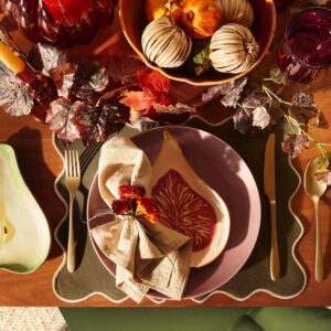 So wird der Tisch zum herbstlichen Blickfang! Geschirr in organischen Formen, farbige Gläser und Kürbisdeko bringen Orange, Gelb und Beerentöne zusammen. Blätter und kleine Zierkürbisse machen das Arrangement komplett. Alles über Dunelm.